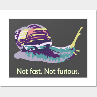 Not Fast. Not Furious. Posters and Art